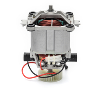 Motor with overload protection (high power)